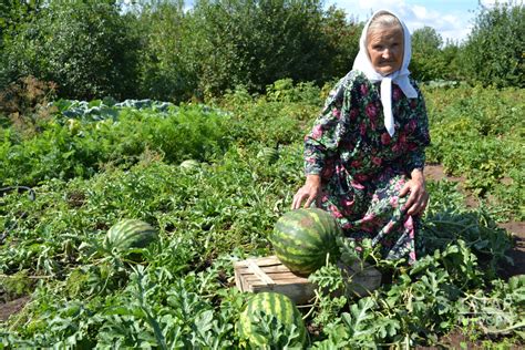 Способы повышения урожайности