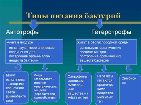 Способы получения питания по сниженной ставке
