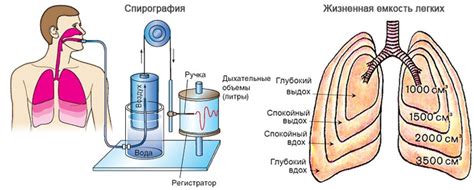 Способы улучшения дыхания при заболевании легких