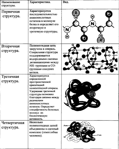 Способы формирования первичной структуры белка