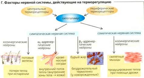 Сравнение болевых ощущений и возможности раздражения кожи