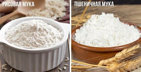 Сравнение кукурузной муки и пшеничной муки