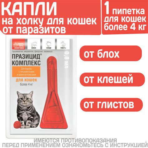 Средства от гадких постелей кошек