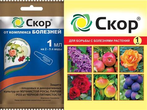 Сроки, дозировки, особенности
