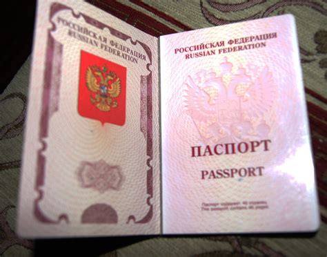 Сроки и условия оформления нового документа