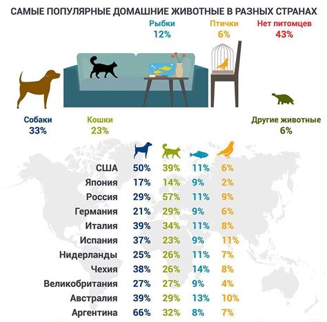 Сроки уплаты налога на собак в Беларуси