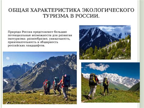 Стимулирование туризма и экотуризма