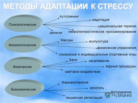 Стойкость к стрессу