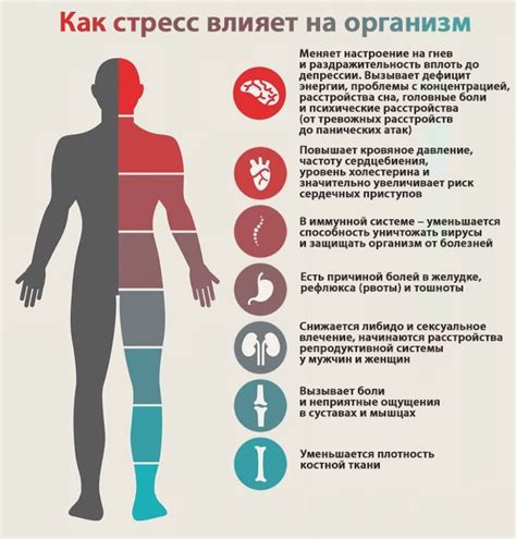 Стресс и его влияние на внешний вид перьев у петухов