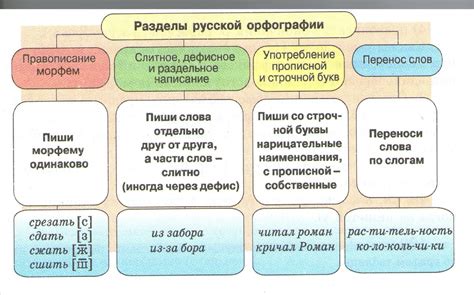 Стрика: основные правила