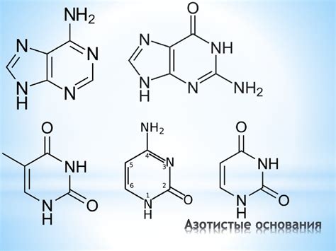 Структура и химический состав