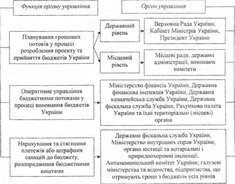 Сущность управления бюджетными организациями