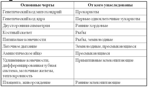 Сходства и различия в составе и дозировке