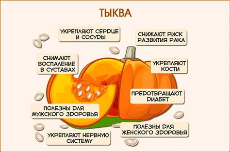 Сырая тыква с кожурой: полезные свойства