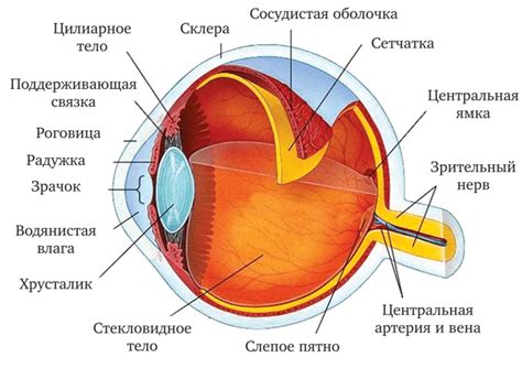Тайна Векающего Глаза: происхождение и особенности