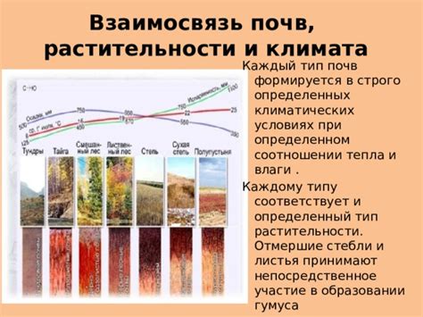 Тайны климата и растительности