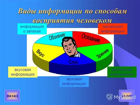 Тактильная информация: ощущения, передающие знания о предметах и процессах