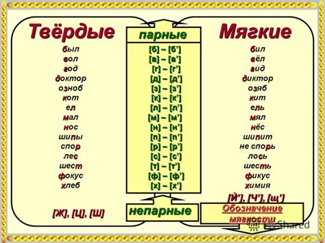 Твердый парный звук