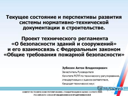 Текущее состояние системы и перспективы развития