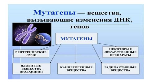 Тема 1: Влияние наследственности и генетики на нашу судьбу