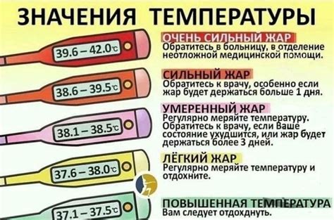 Температура в природе и человеческом организме