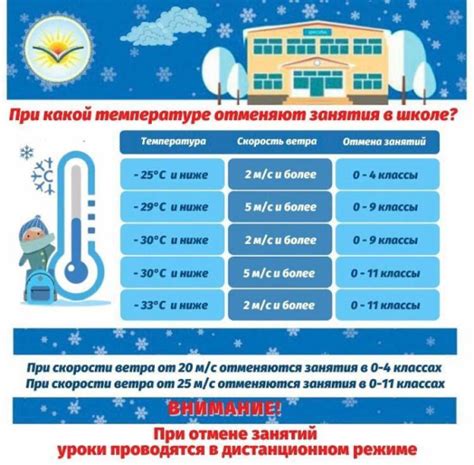 Температурный режим для гиацинта в помещении