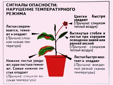 Температурный режим и pH вещества: взаимосвязь и влияние