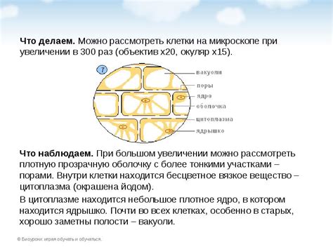 Теплоотвод и структурные особенности