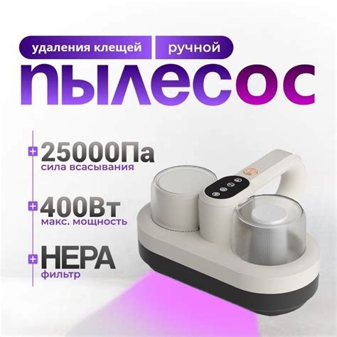 Термальное изображение: новый подход к детектированию пылевого клеща
