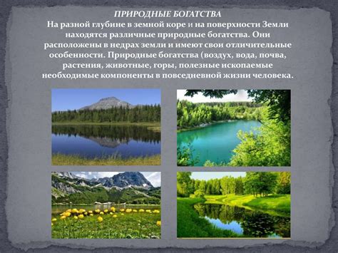 Территория удивительной фауны: природные богатства Новой Земли