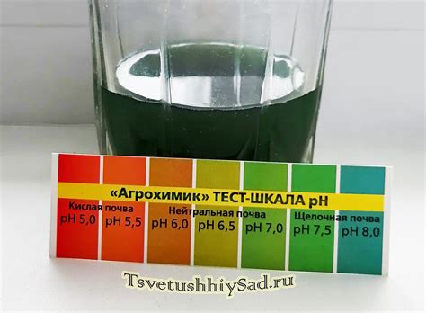 Тест для определения кислотности