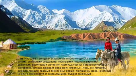 Техника и мастерство в художественном творчестве