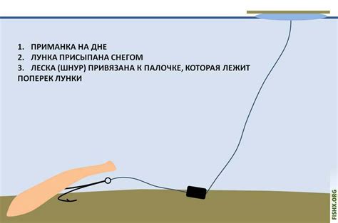 Техника ловли на донку