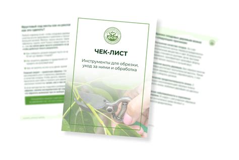 Техники безопасной обрезки после дождя