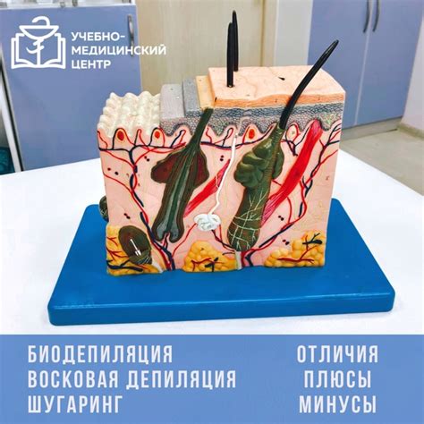 Техники удаления костей с различными методами