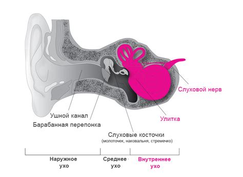 Типы групп по тугоухости