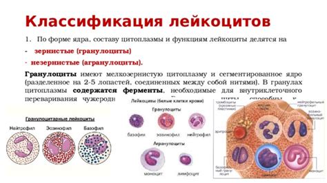 Типы иммуноблоттинга и их особенности применения