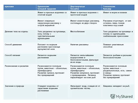 Тип и класс: сравнение и различия
