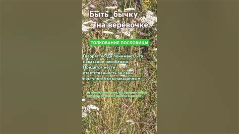 Толкование пословицы "Не руби с плеча"