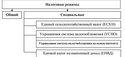 Тонкости налогообложения ИП по НДС