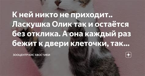Тоска без отклика