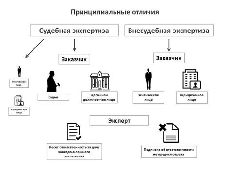 Требования к уровню знаний и опыту специалиста в рамках процесса судебной экспертизы