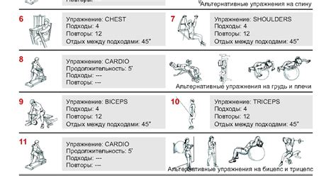 Тренировка руки: упражнения для увеличения быстроты