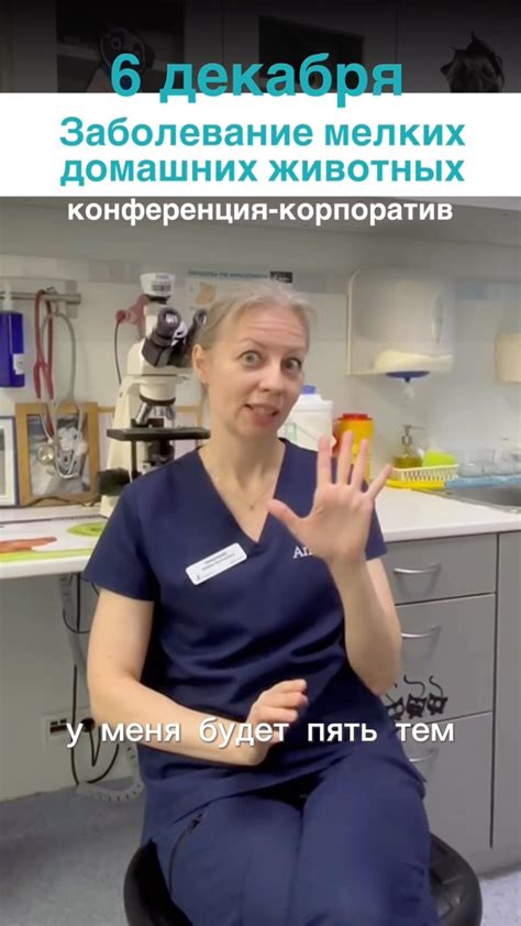Третий аспект: рекомендации и полезные советы от специалистов ветеринарии