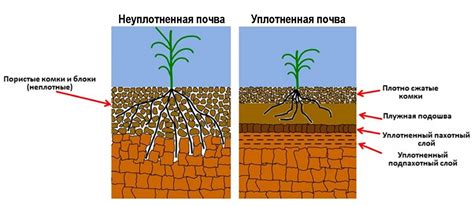 Увеличение прочности и структуры почвы при помощи органического вещества