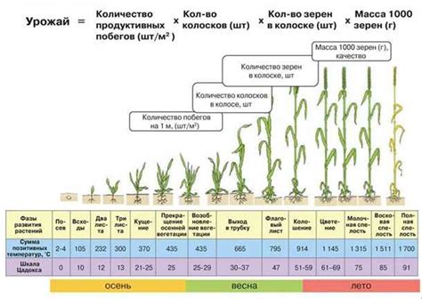 Увеличение урожайности