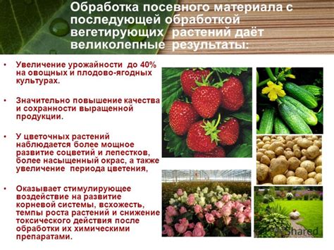 Увеличение урожайности и качества растений