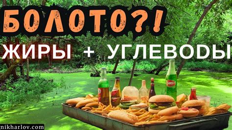 Углеводы и лишний вес: факты и мифы