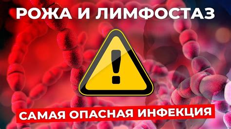 Угрозы для здоровья при отеке и необходимость вакцинации