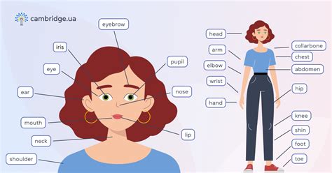 Удаление/убирание части тела